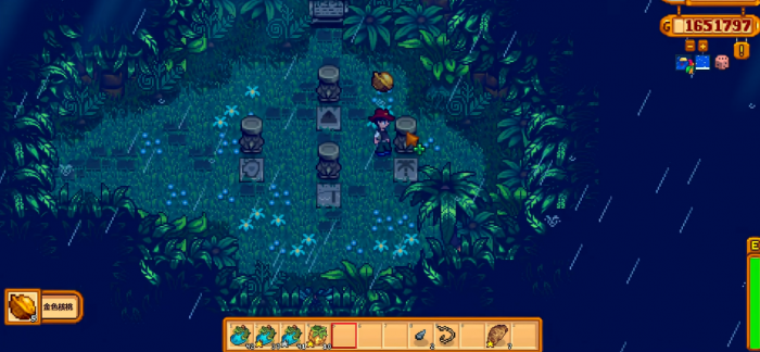 星露谷物语宝石鸟分别是什么宝石3