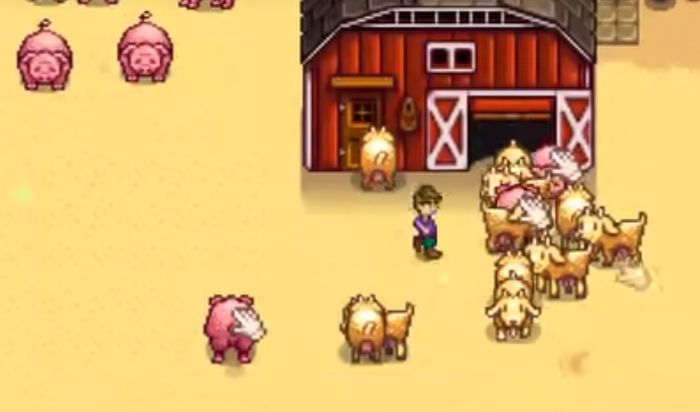 星露谷物语养哪些畜棚动物收益最高1