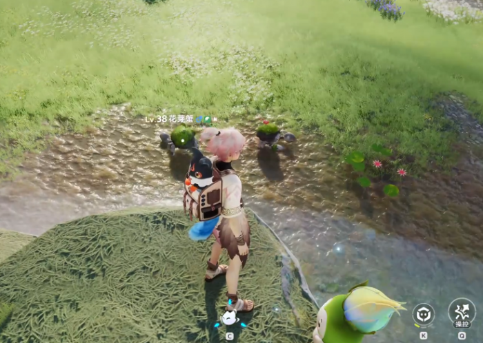 伊莫狼牙岭宠物有哪些2