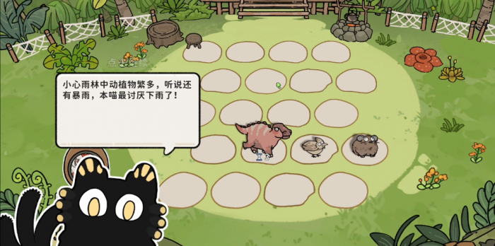 猫神牧场风神翼龙怎么样4