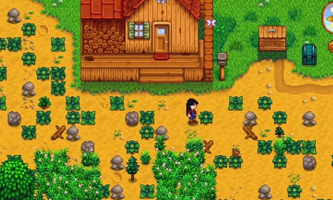 星露谷物语杂草的类型有哪些_星露谷物语官方正版