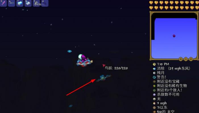 泰拉瑞亚鸟妖怎么打_泰拉瑞亚鸟妖刷新条件