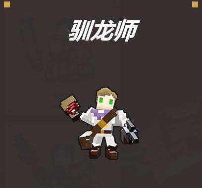 宝藏世界驯龙师是什么样的副职业_宝藏世界龙怎么获得
