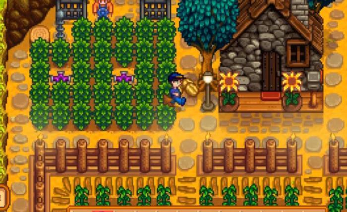 星露谷物语人物生日作用是什么2