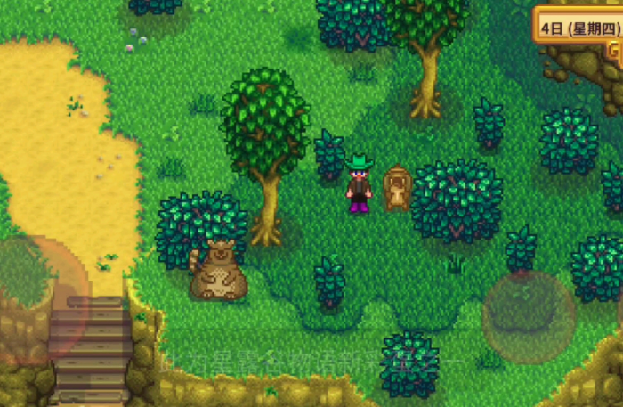 星露谷物语垃圾熊有什么作用_星露谷物语垃圾熊任务物品