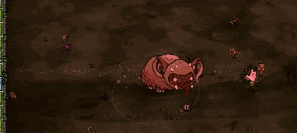 饥荒考拉象怎么圈养3