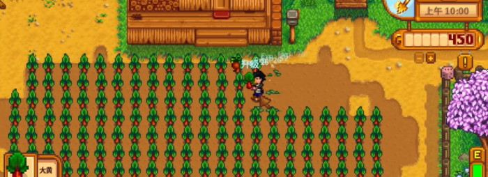 星露谷物语大黄有什么作用2