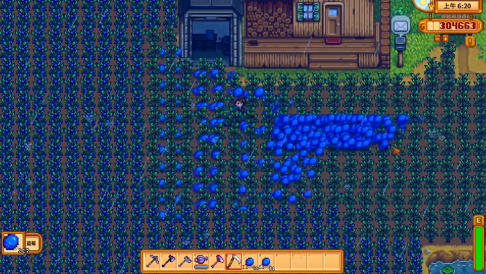 星露谷物语蓝莓怎么卖赚钱1