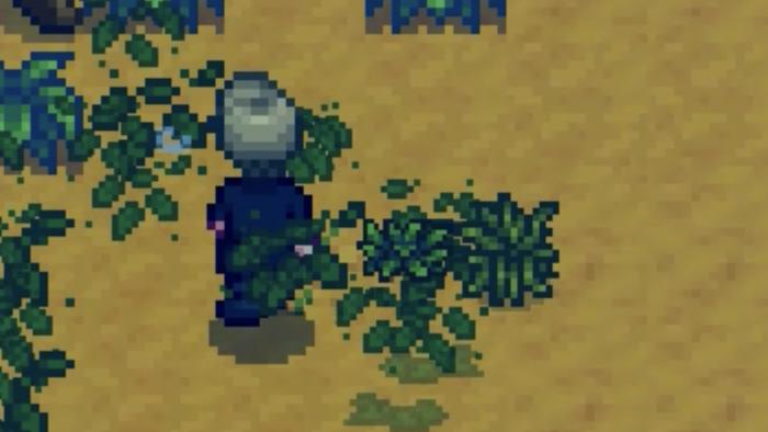 星露谷物语有什么稀有帽子2