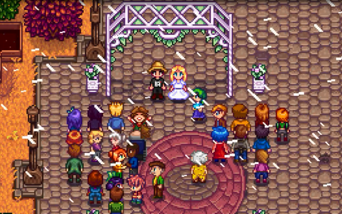 星露谷物语海莉什么时候结婚1