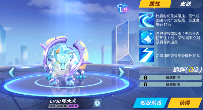 qq飞车手游现在最好的宠物是什么2