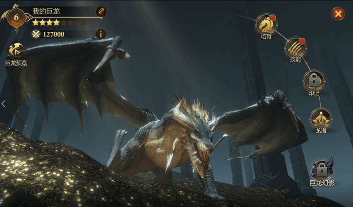 阿瓦隆之王白龙组有什么玩法_阿瓦隆之王龙的等级