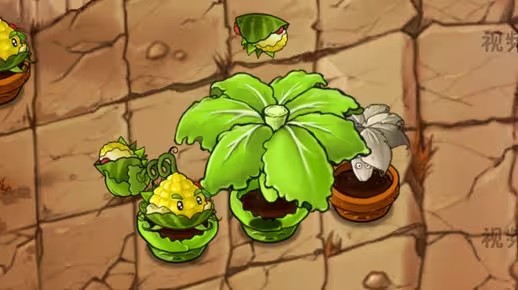 《植物大战僵尸融合版》新植物卷菜伞介绍1