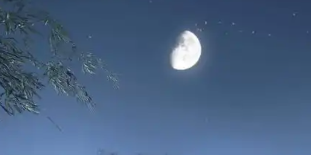 逆水寒手游童稚之交怎么过_逆水寒手游攻略网