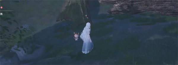 无限暖暖美甲金龟在哪捕捉_无限暖暖美甲金龟怎么抓