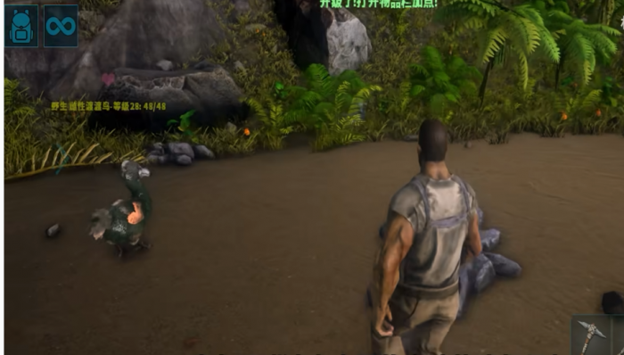 方舟生存进化手游新手前期怎么玩2