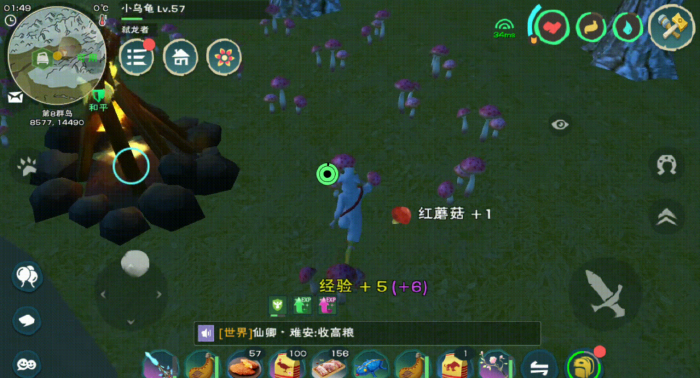 创造与魔法绿蜥蜴吃什么3