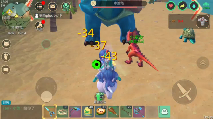 创造与魔法乌龟吃什么2