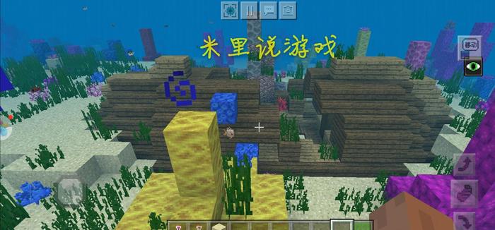 我的世界海底神殿种子码20264