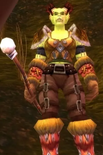 魔兽世界阿拉希高地飞行点在哪4