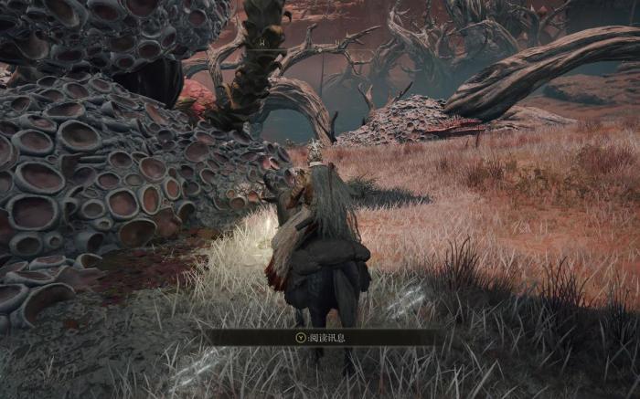 艾尔登法环前期怎么完美开局3