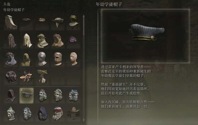 艾尔登法环图鉴在哪看4