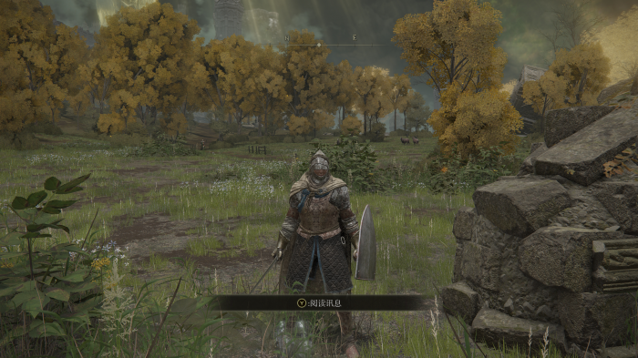 艾尔登法环地图怎么走3