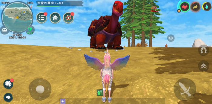 创造与魔法乌龟吃什么1