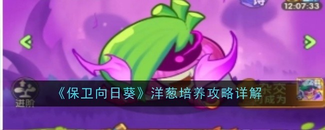 保卫向日葵洋葱_保卫向日葵怎么刷钻石