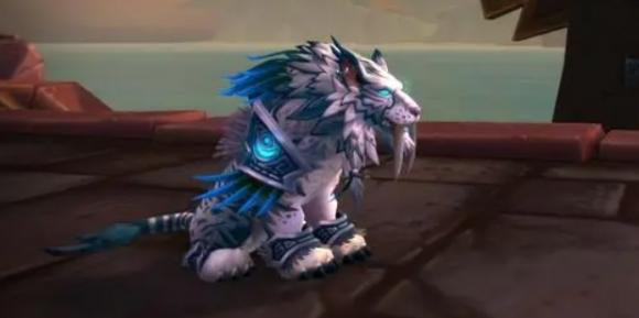 魔兽世界11.0猫德一键宏哪些能用2