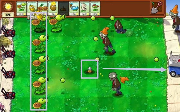 《植物大战僵尸杂交版》冒险模式全关卡通关攻略大全12