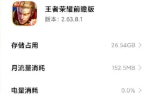 王者荣耀内存20个g怎么回事?2