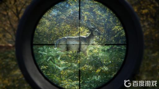 荒野的召唤怎么放多个帐篷?_荒野的召唤放多个帐篷会怎么样