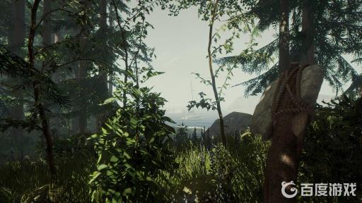 森林steam地图怎么获得?_森林游戏的地图怎么获取