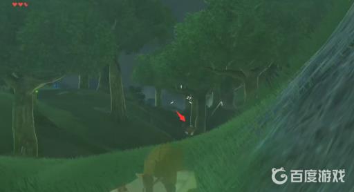 塞尔达怎么打猎野猪?4