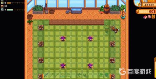 星露谷物语冬天能种地吗?3