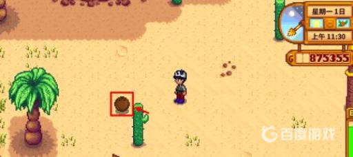 星露谷物语椰子怎么得?3