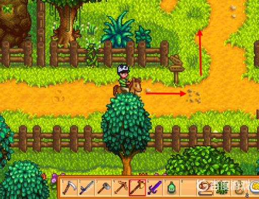 星露谷物语沙鱼在哪里钓?_星露谷物语钓沙丁鱼