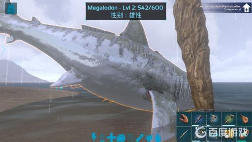 方舟大白鲨怎么驯养?2