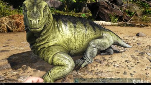 方舟生存进化杀死野生龙代码是多少?1