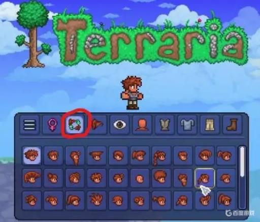 泰拉瑞亚怎么捏脸好看?1