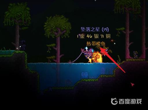 泰拉瑞亚热带梭鱼在哪抓?5