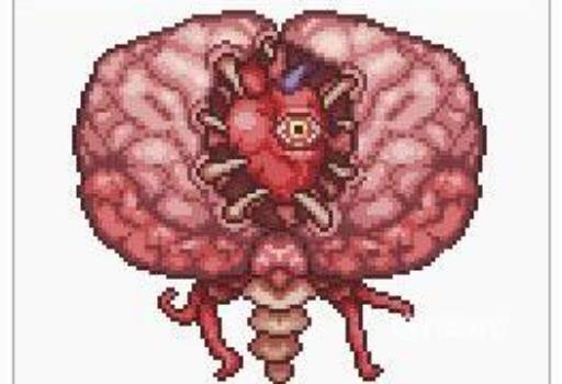 泰拉瑞亚boss顺序是什么?4