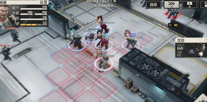 钢岚新手阵容推荐1