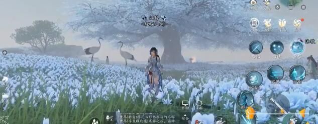 天涯明月刀手游州府要犯攻略2