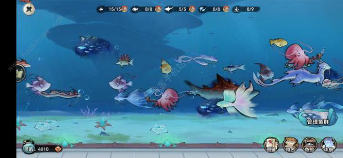 最强祖师零氪阵容推荐3