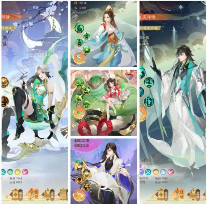 我自为道国家队阵容推荐2