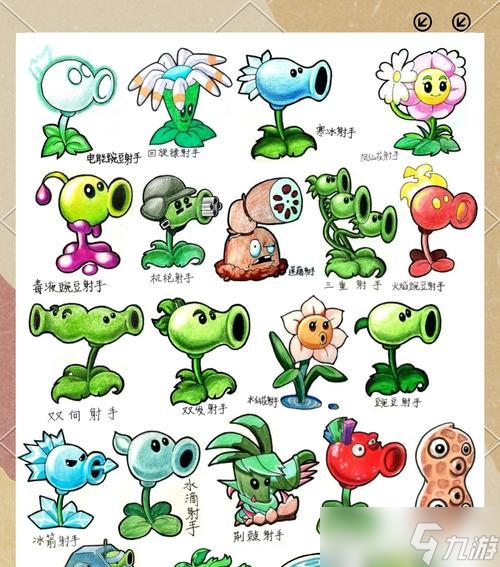 《植物大战僵尸》新手教程3