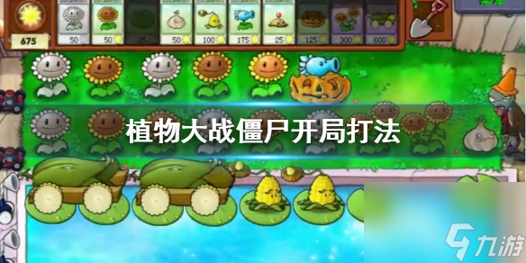 植物大战僵尸开局打法1