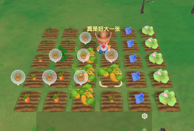 摩尔庄园怎么布置田地2